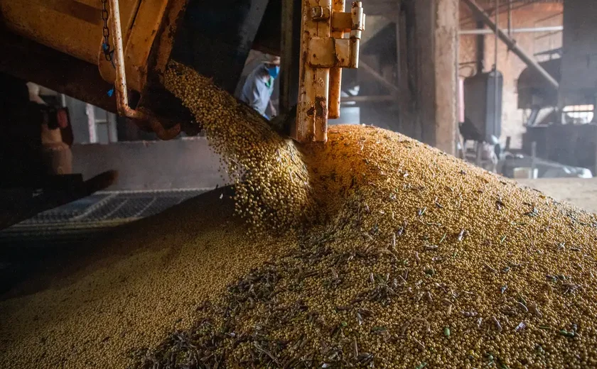 Após seis anos em alta, valor da produção agrícola cai 2,3% em 2023