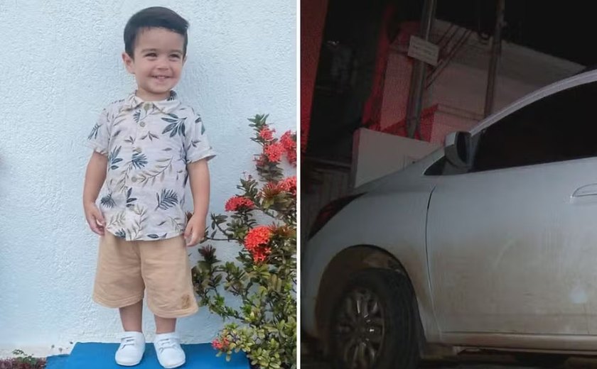 Menino de 2 anos morre após ser esquecido em carro por dona de creche em Goiânia