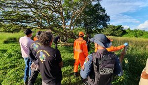 Corpo em estado avançado de decomposição é encontrado na Zona Rural de Maruim