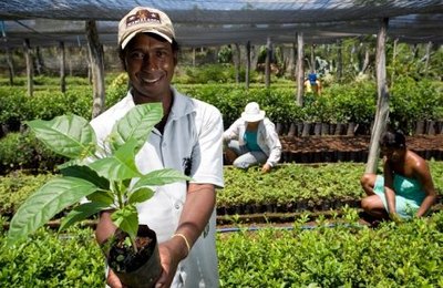 Conab abre inscrições para formar estoques da agricultura familiar 