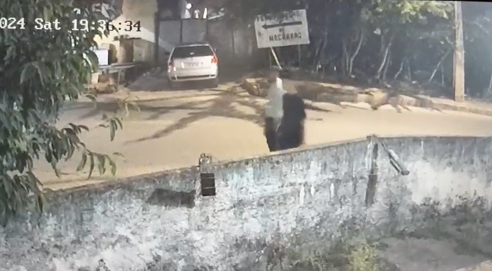 Captura de tela 2024-04-02 153101