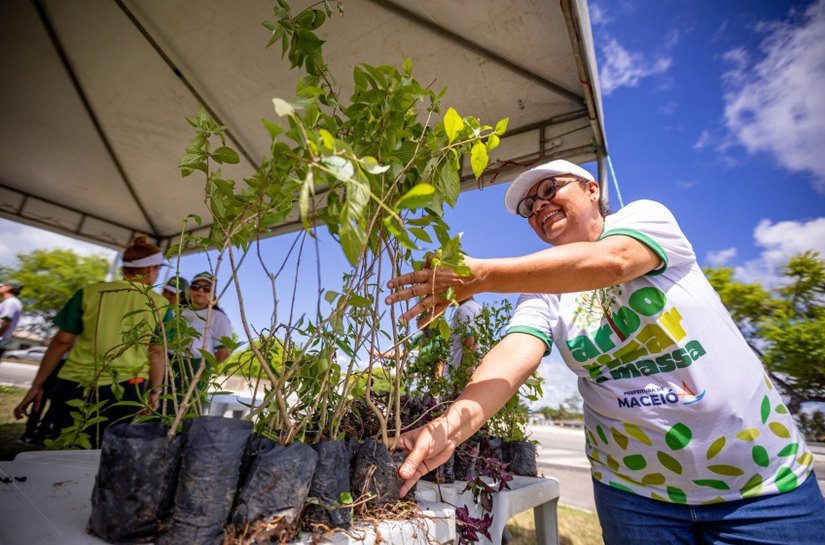 Mirante da Santa Amélia receberá quarta etapa do projeto Arborizar é Massa