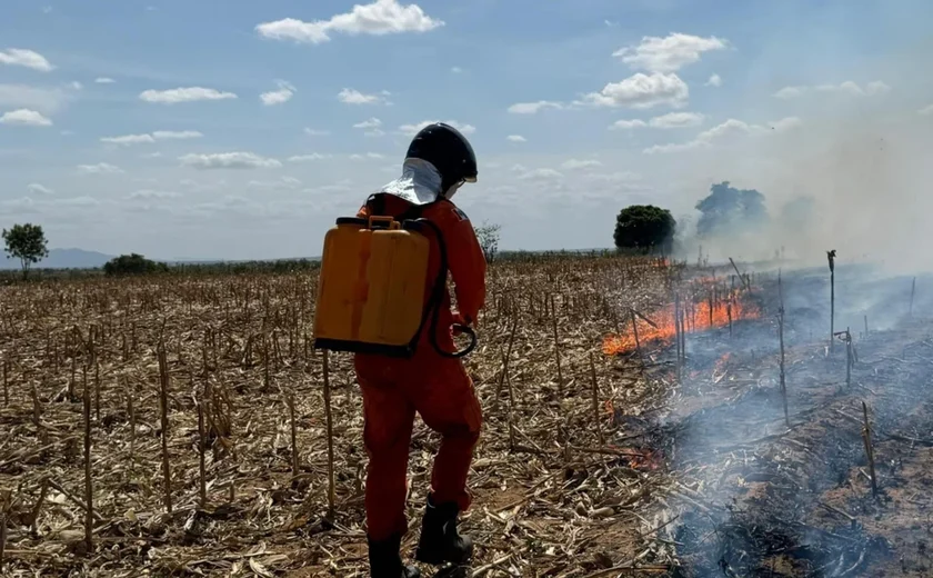 Incêndios em vegetação aumentam 80% em Alagoas