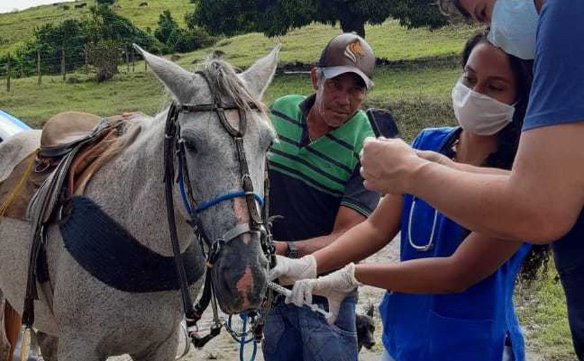 Trabalhos do curso de Medicina Veterinária são premiados em conferência