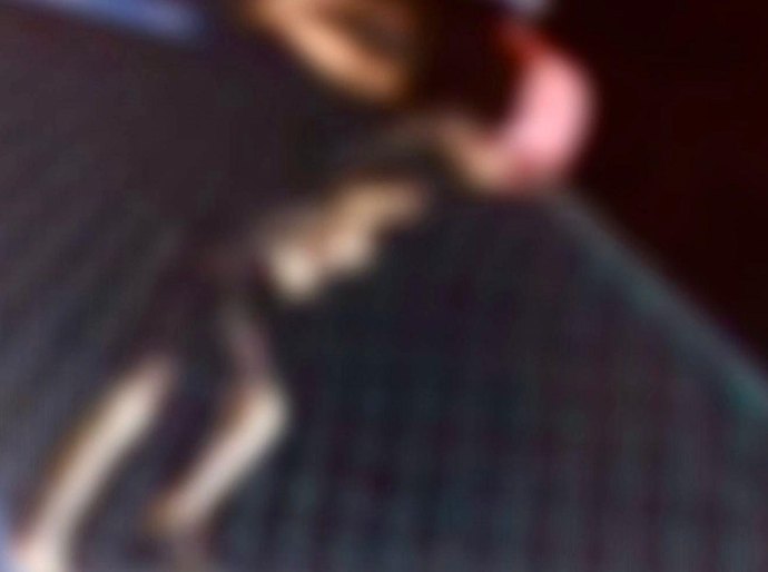Segurança Cidadã identifica autor de vandalismo em arena na parte alta da cidade