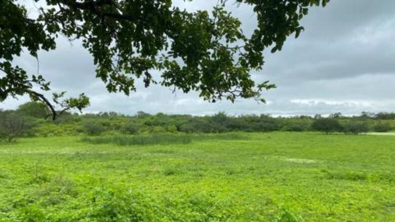 Fazenda de 780 tarefas será leiloada pela VT de Santana do Ipanema no dia 10/6