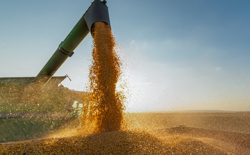 Consumo mundial de alimentos deve aumentar 62% até 2025