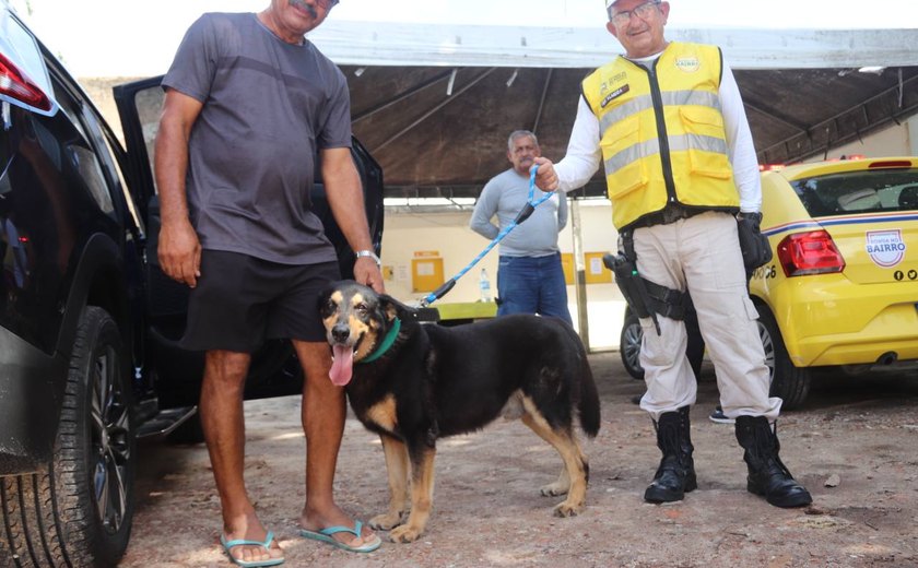 Ronda localiza e devolve em segurança cão que fugiu de casa em Mangabeiras