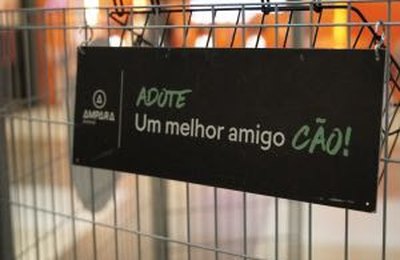 Sam's Club Maceió recebe campanha de adoção responsável de pets