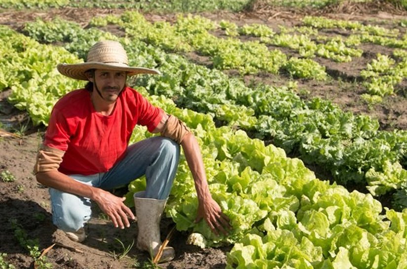 Governo muda cenário alagoano com ações para interiorizar o desenvolvimento