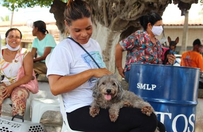 Prefeitura de Coruripe inicia projeto de castração de animais pelo Pontal