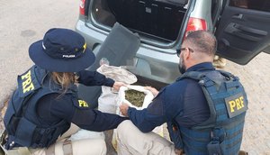 Motorista é preso por transportar 15 kg de maconha em Sergipe