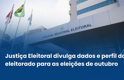Justiça Eleitoral divulga dados e perfil do eleitorado para as eleições de outubro