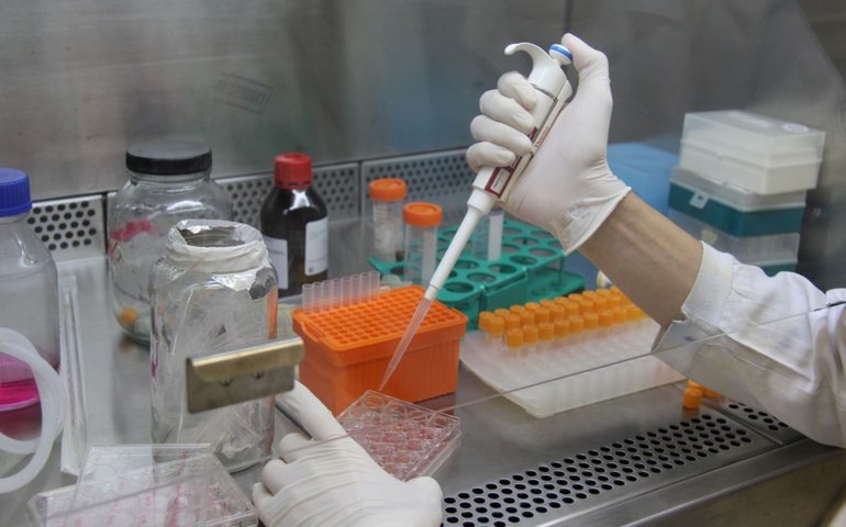 Evento da USP explica a carreira de cientista para meninas