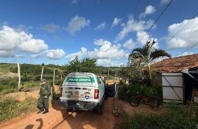 PM apreende nove armas de fogo durante operações integradas do BPA em Alagoas