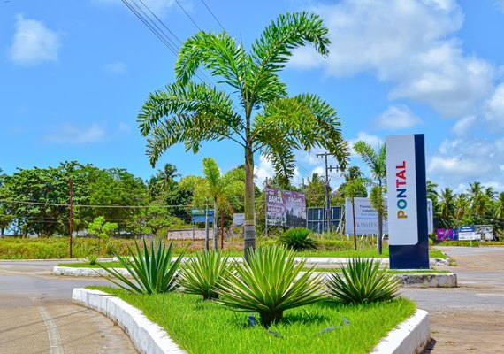 Arborização e Paisagismo: Coruripe alcança a marca de 5 mil mudas plantadas em 3 anos