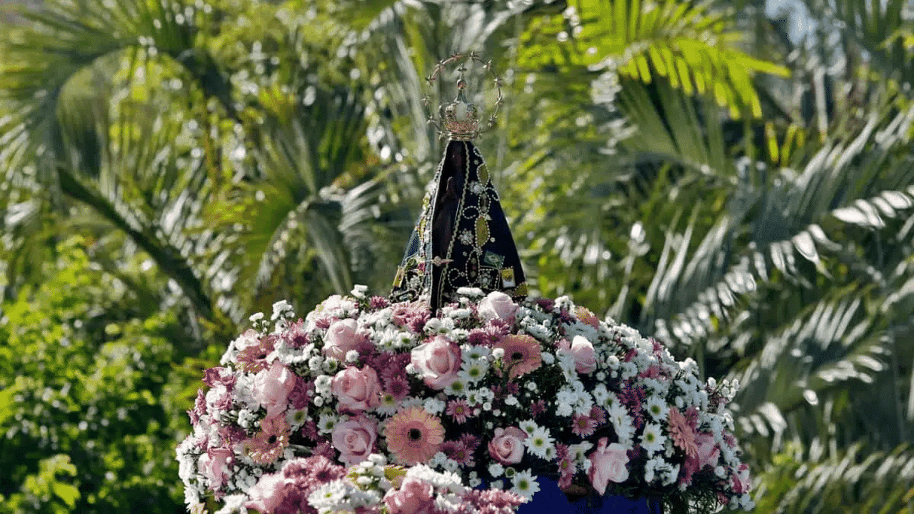 Dia de Nossa Senhora Aparecida: conheça flores para homenagear a santa