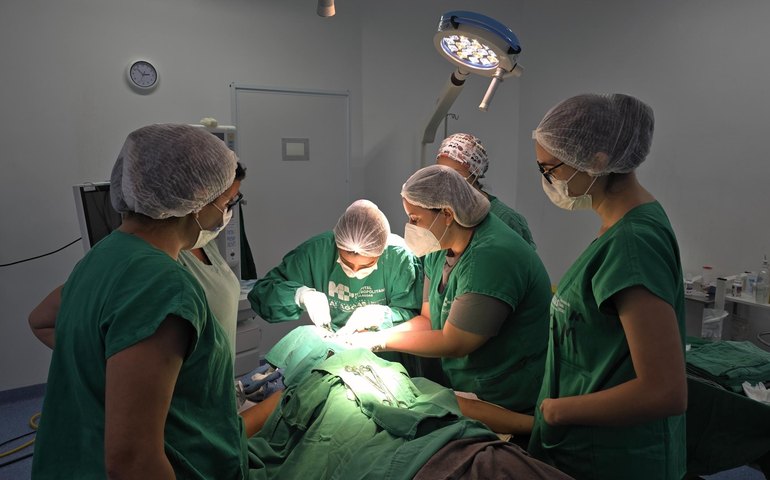 Sesau reforça a importância de comunicar a família o desejo de ser doador de órgãos