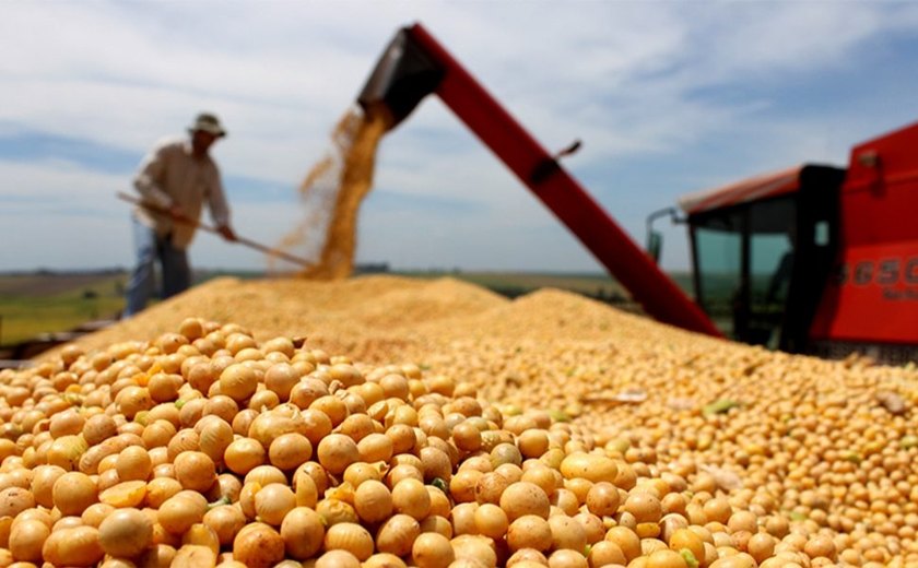 Justiça marca para julho leilão das fábricas de soja da Imcopa no PR