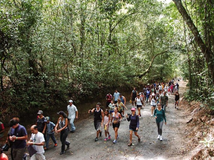 Parque Municipal tem projeto Bye, Bye, Férias no domingo