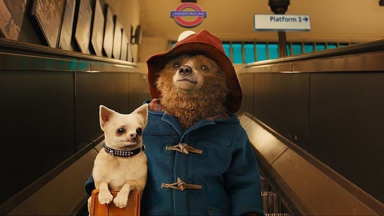'Paddington 3': saiba quais atores farão parte do elenco da nova sequência infantil