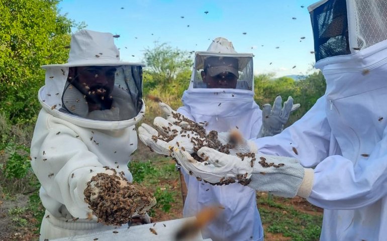 Apiário e Casa do Mel do Centro Xingó já atenderam 331 pessoas desde 2023