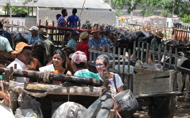 AL desenvolve 1º Mapeamento Cultural do Patrimônio Imaterial do Brasil