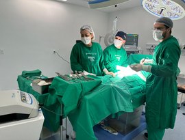 HRPI supera 600 procedimentos ortopédicos e amplia assistência na VIII Região