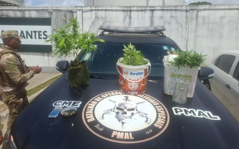 Polícia Militar apreende 5 kg de drogas e descobre plantação de maconha em Maceió