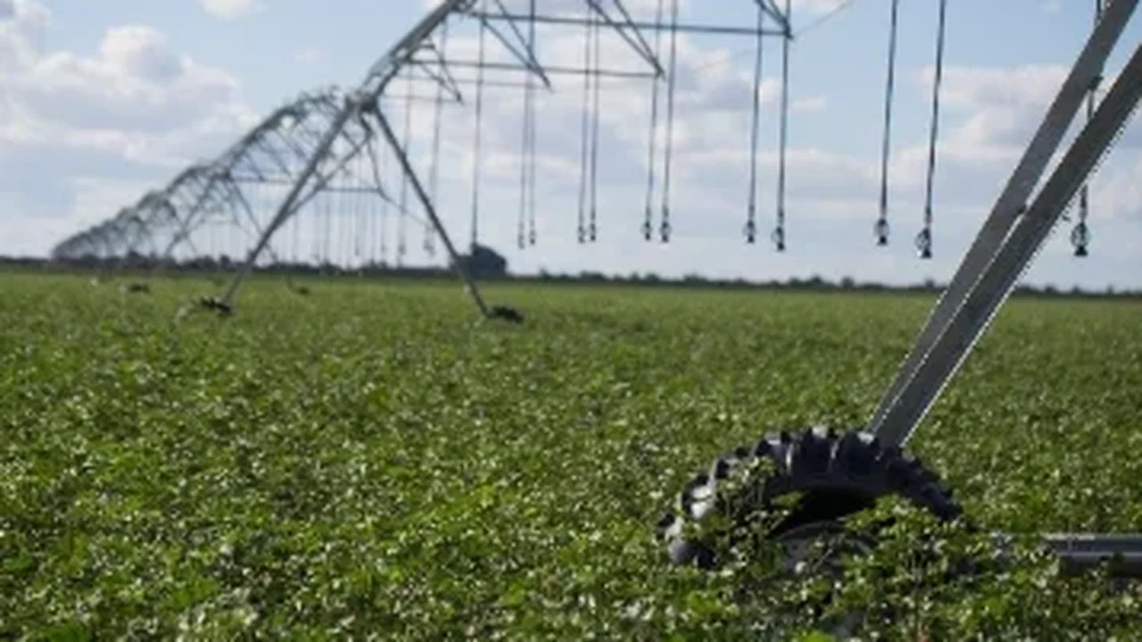 Estratégias de nutrição inteligente impulsiona a produtividade das lavouras brasileiras