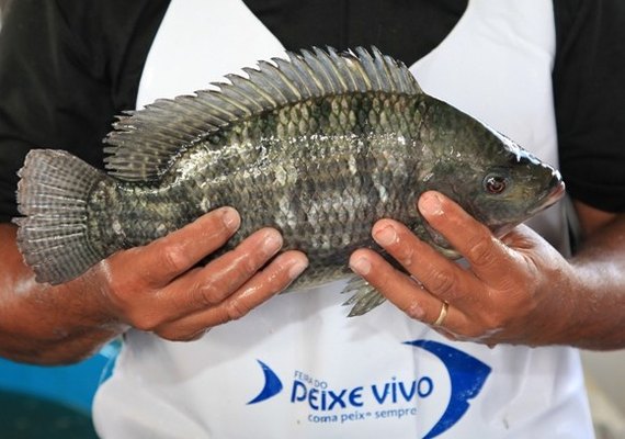 Feira do Peixe Vivo vai comercializar três toneladas de pescado