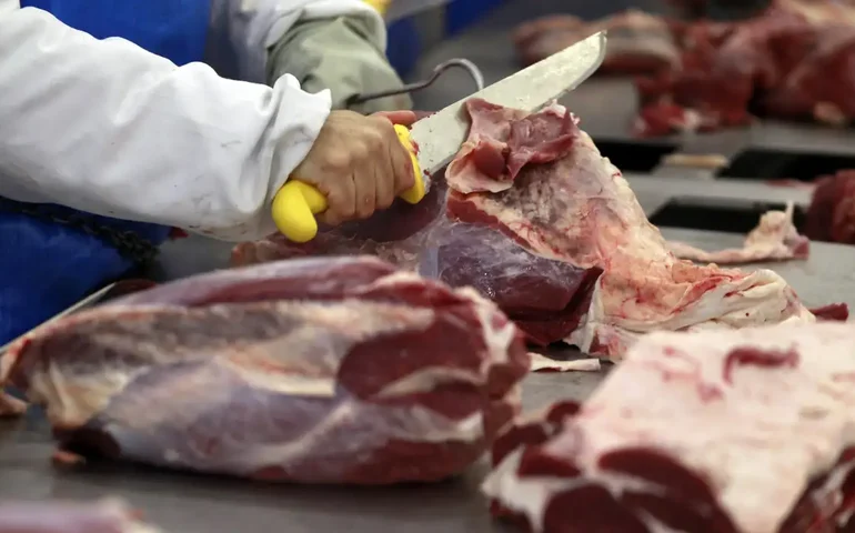 Mulher quase morre após contrair bactéria comedora de carne durante o parto; entenda 