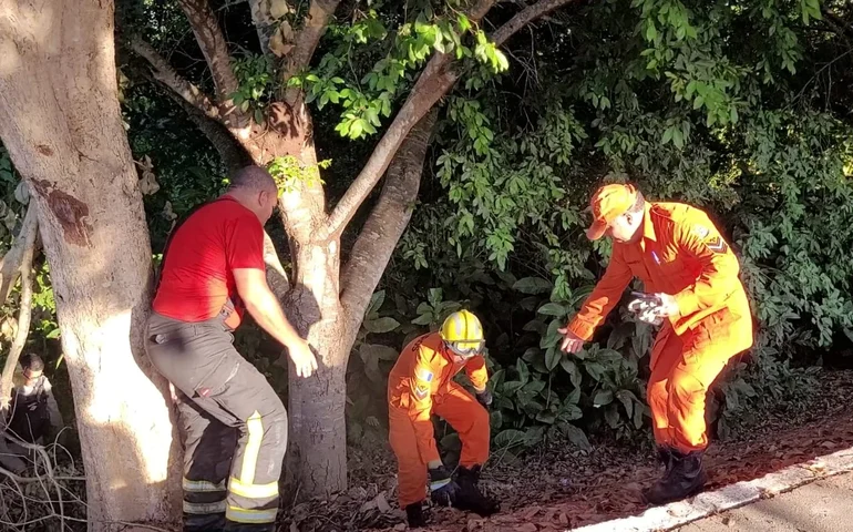Corpo de mulher é encontrado no Bosque das Arapiracas e polícia apura possível ligação com desaparecimento