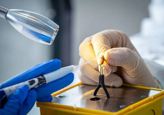 Apagão em universidade federal dá prejuízo de milhões em pesquisas