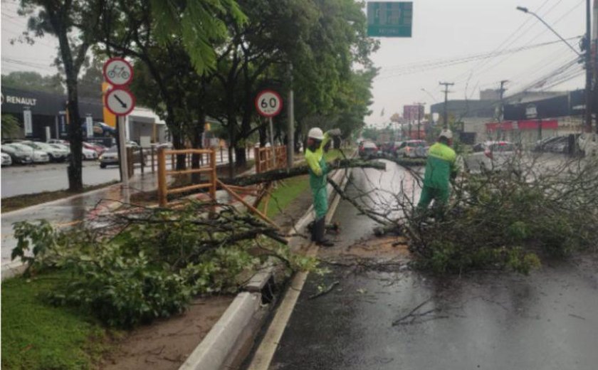 Prefeitura de Maceió realiza ações contra transtornos em decorrência das fortes chuvas