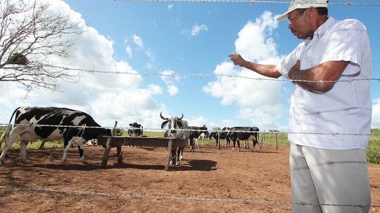 Agricultura discute estratégias com setor produtivo do leite na segunda-feira (2)