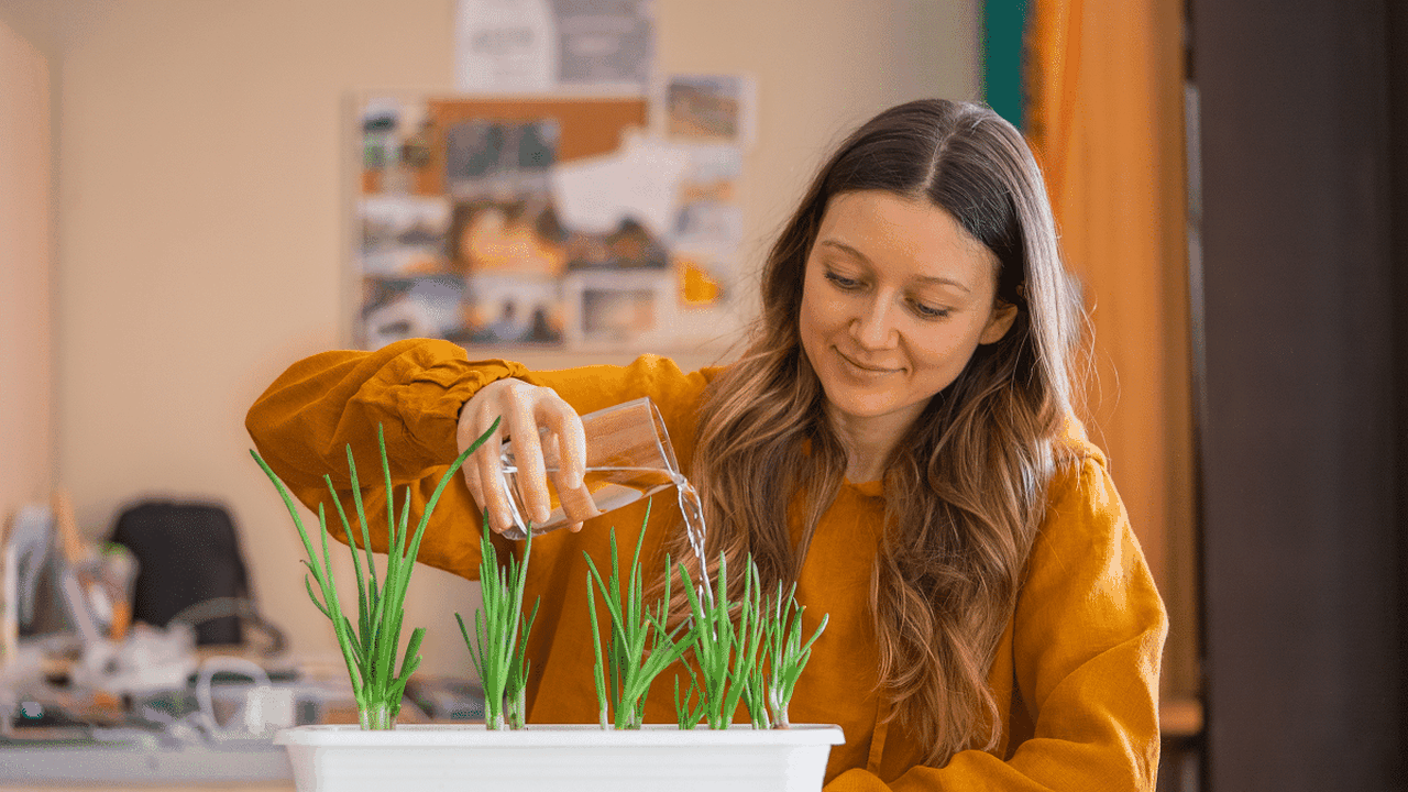 Horta em apartamento: 5 temperos para cultivar em vasos mesmo com pouco espaço