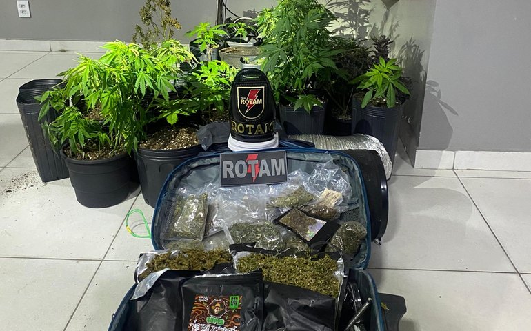 PM desarticula laboratório de drogas e localiza plantio de maconha na Barra Nova