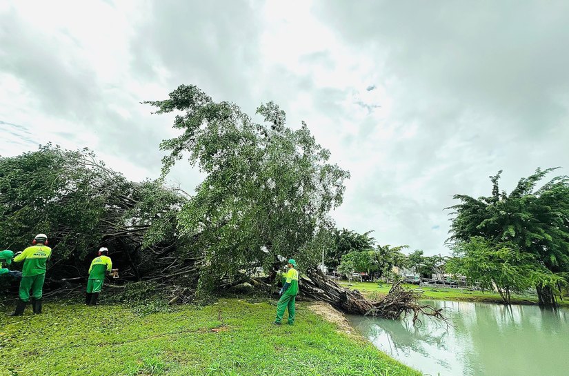 Prefeitura intensifica ações ambientais que minimizam riscos durante o período chuvoso