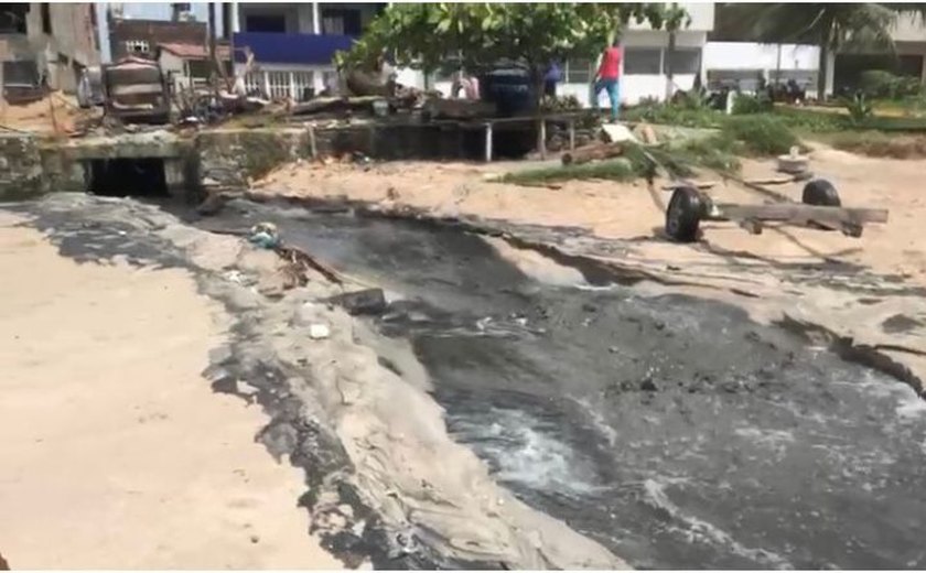 Verde Alagoas autuada em R$ 500 mil por crime ambiental