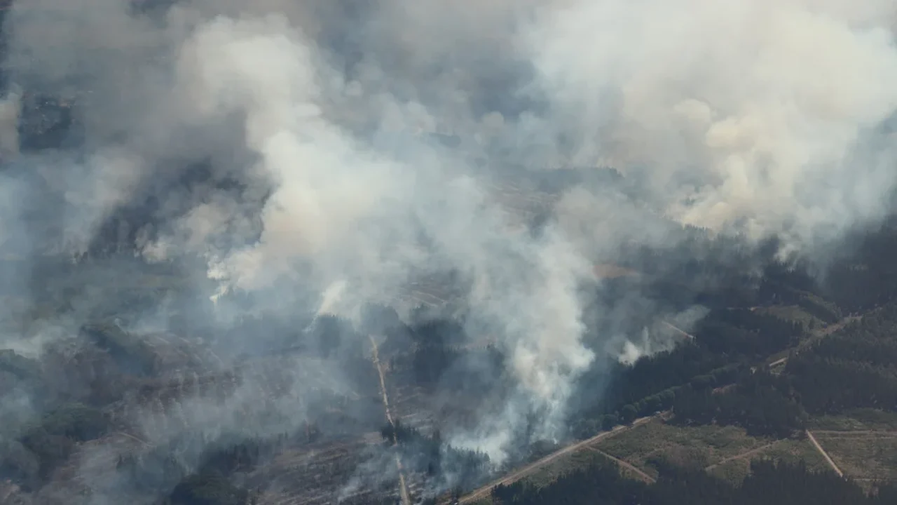 Países europeus combatem múltiplos incêndios florestais enquanto o calor recorde atinge o continente.