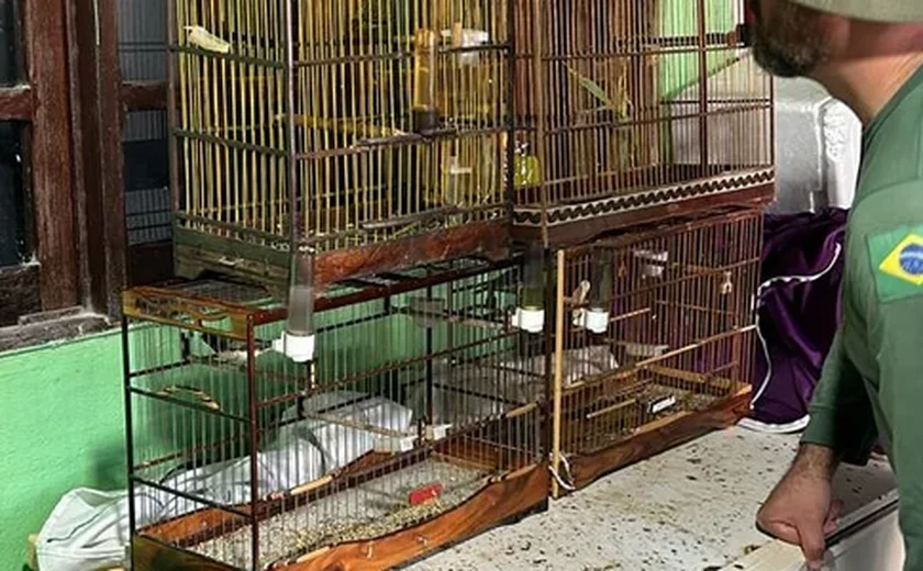 PF deflagra operação contra tráfico de animais silvestres em AL e SE