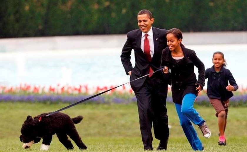 Cão dos Obamas, celebridade na Casa Branca, morre de câncer