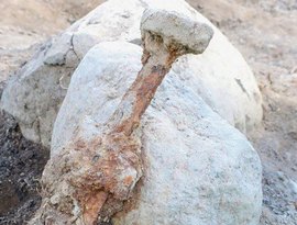 Espada da Idade do Bronze em excelente estado é descoberta em floresta na Polônia (FOTOS)