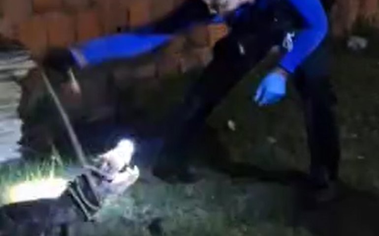 Policial Científico resgata jacaré que invadiu residência em Marechal Deodoro