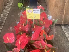 WhatsApp Image 2026-04-14 at 13.26.27 (1).jpeg 