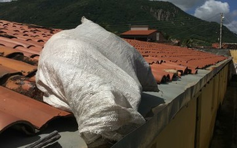 IML de Arapiraca confirma causa da morte de menina encontrada dentro de um saco