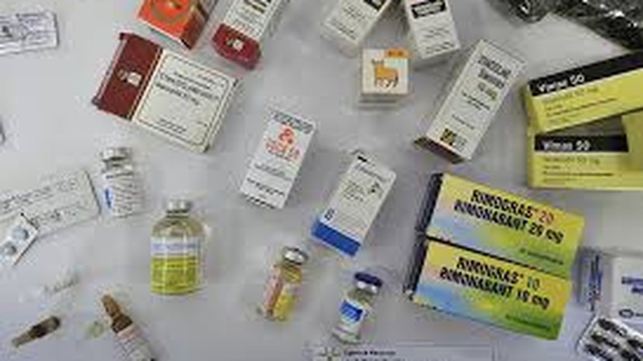 CNA alia-se a outras entidades para combater pirataria de medicamentos de uso veterinário