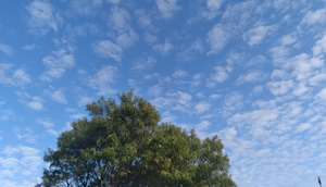 Meteorologia prevê calor e tempo nublado em Sergipe durante próximos dias / Foto: Foto: Ascom/Sedurbs
