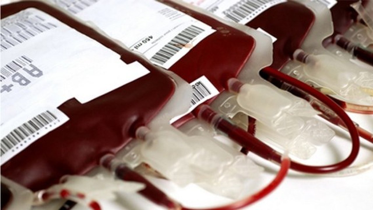 Hemoal realiza coleta de sangue em Viçosa, nesta quarta-feira